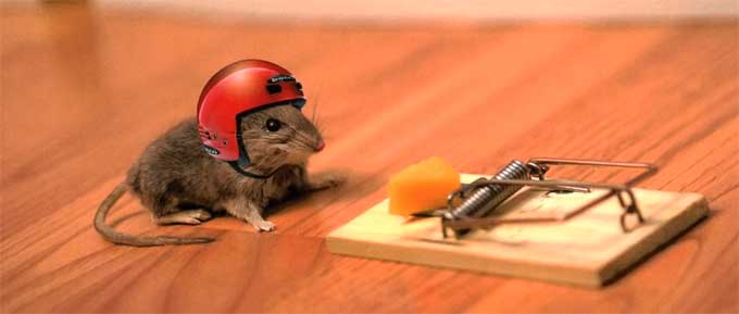 Por que você quer empreender?