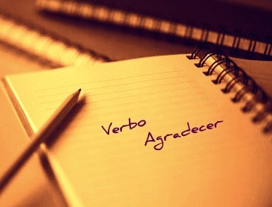 O meu maior ensinamento profissional de 2016