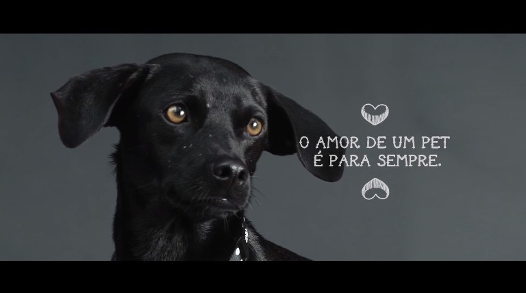 Ame de Novo: campanha da Petz dá um outro significado para tatuagens de nomes